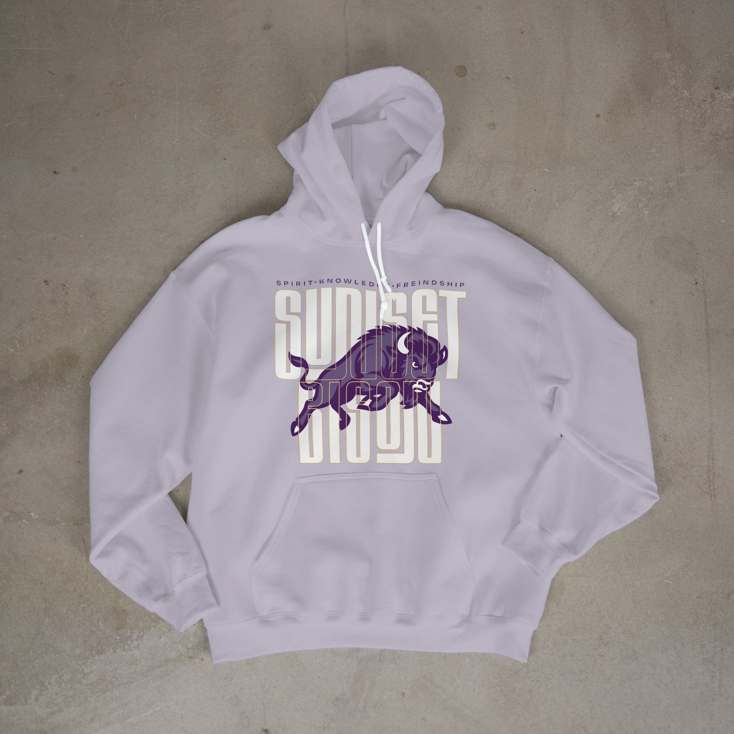Bison Energy