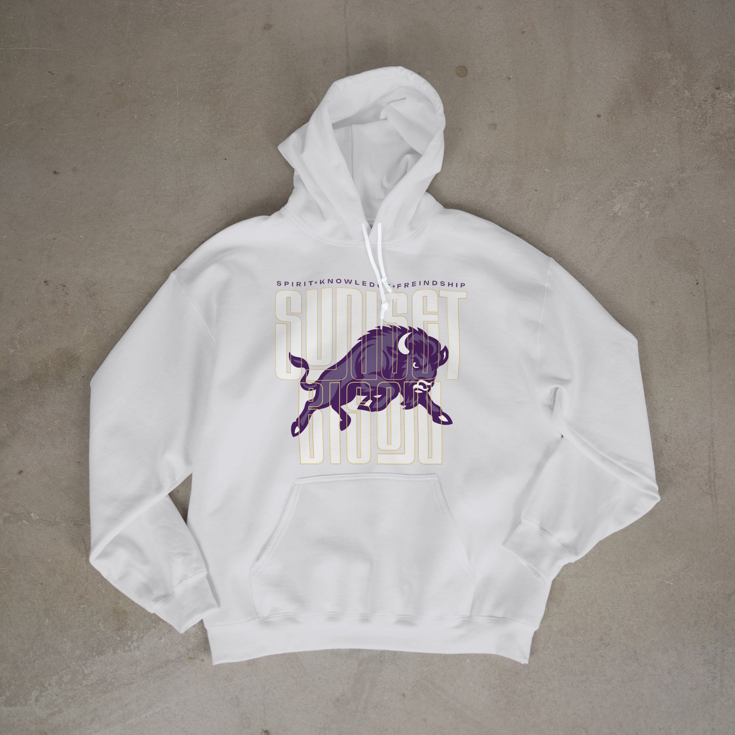 Bison Energy