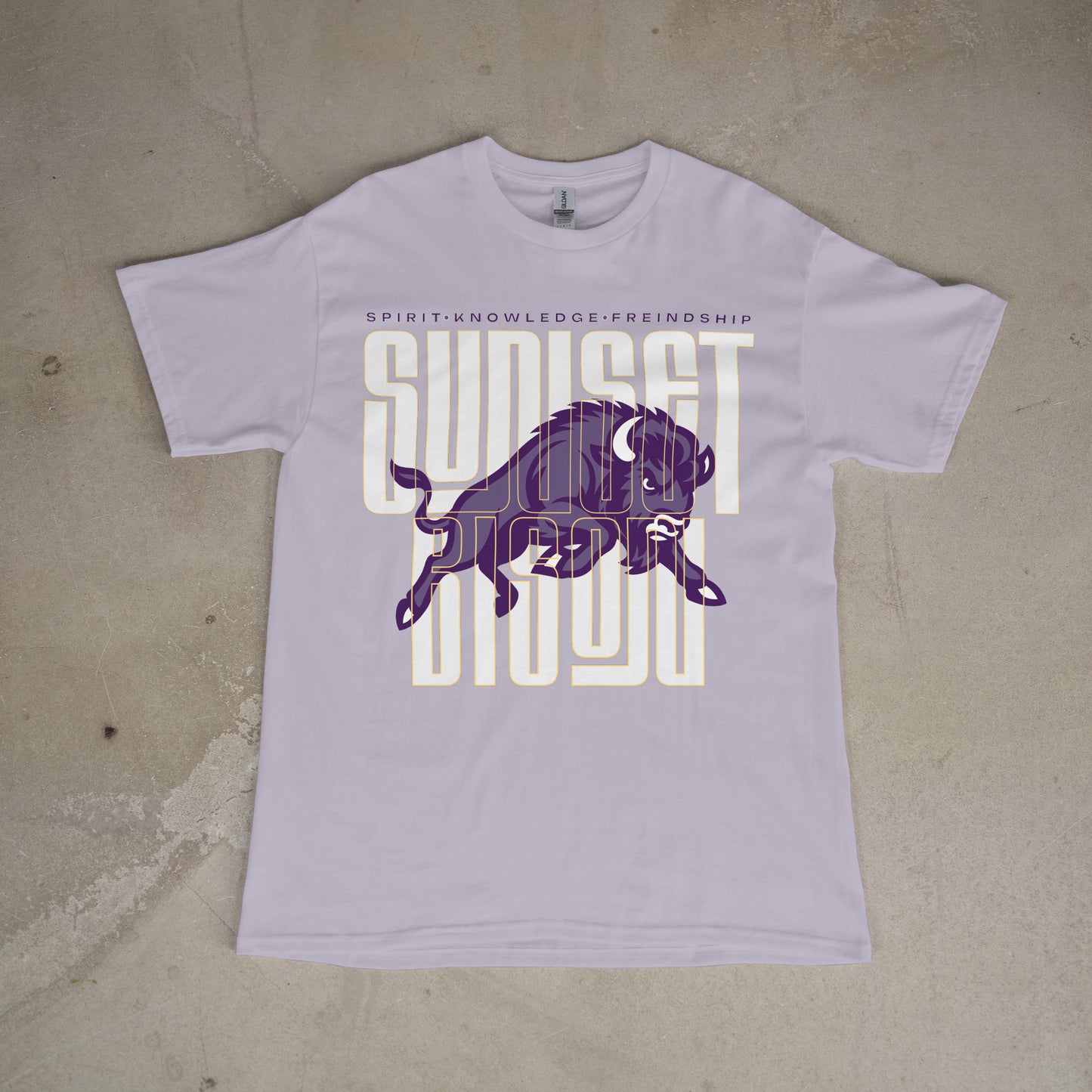 Bison Energy