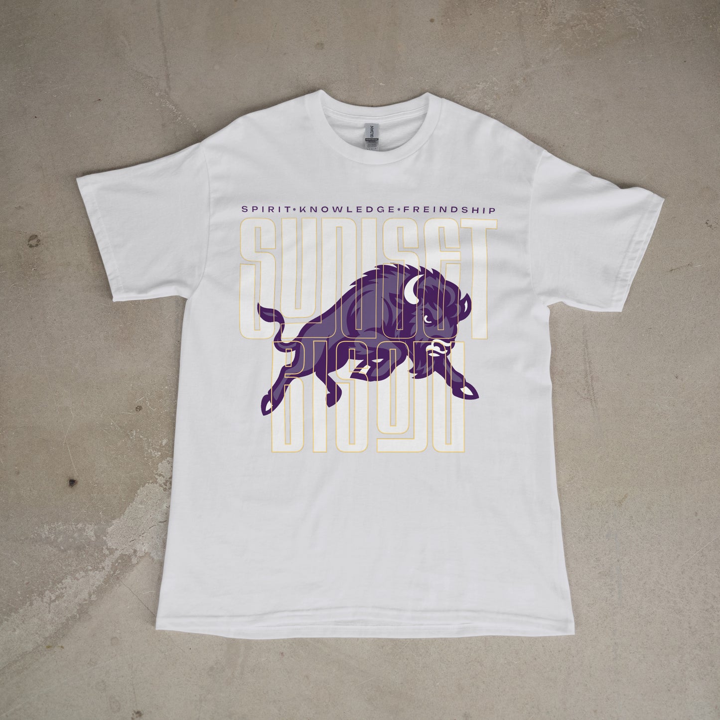 Bison Energy