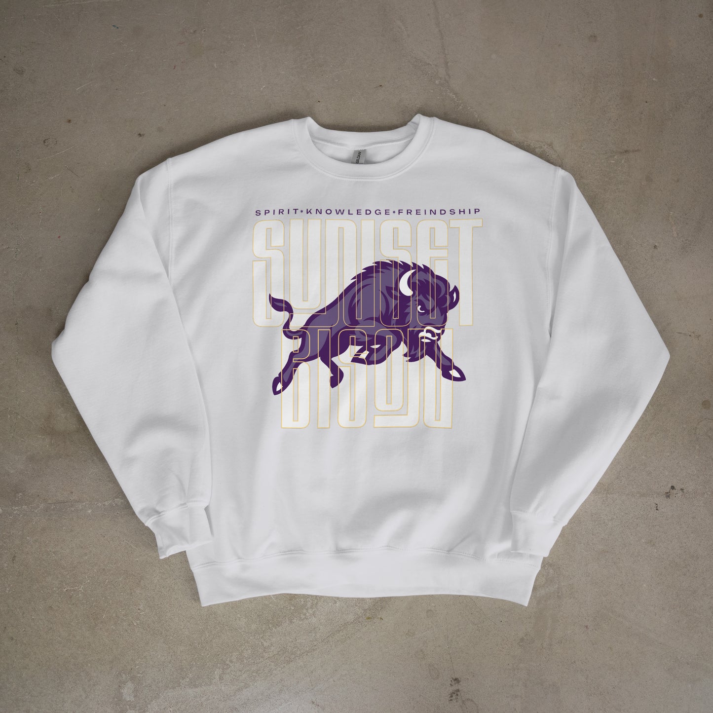 Bison Energy