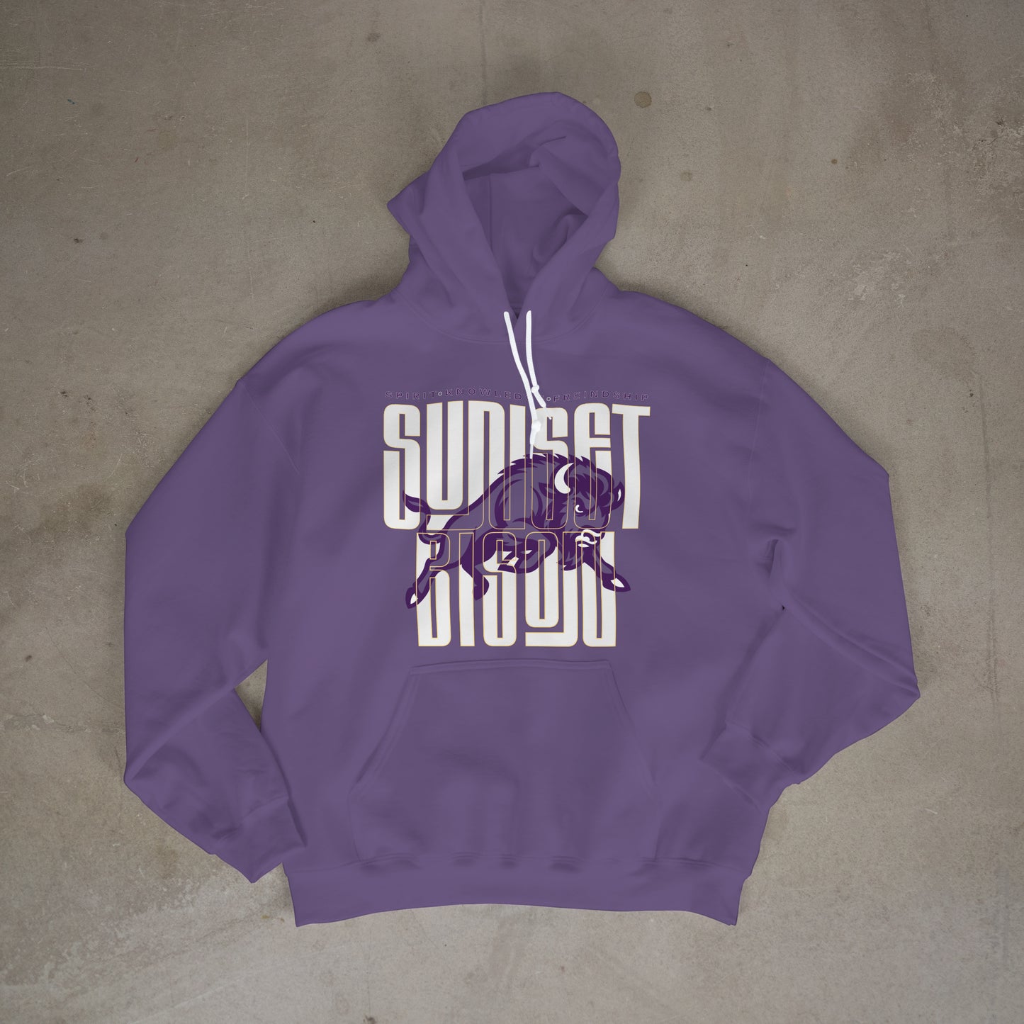 Bison Energy