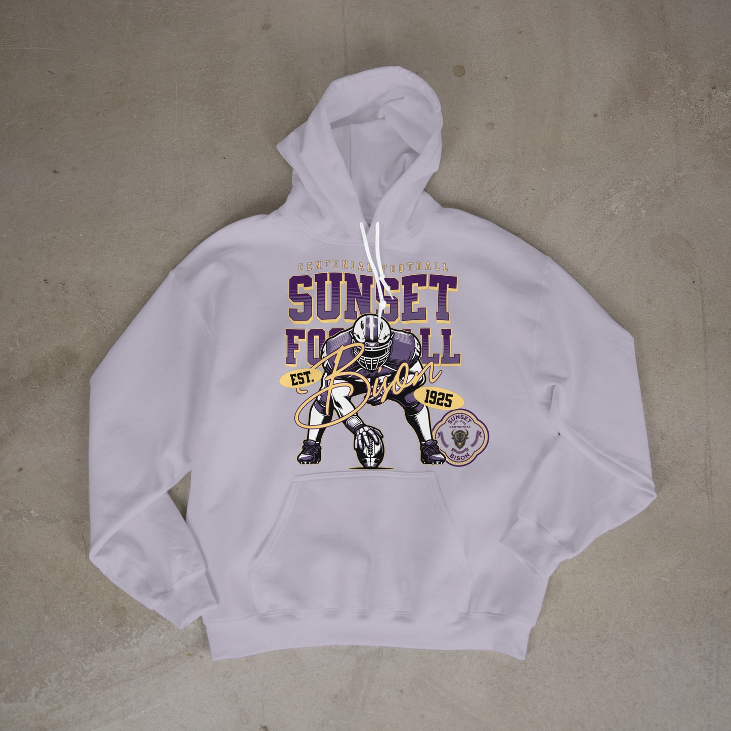 Gridiron Legacy: Sunset Bison