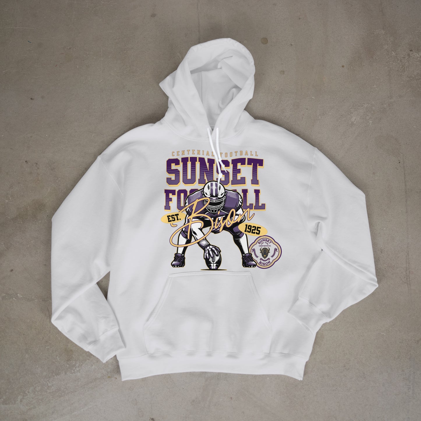 Gridiron Legacy: Sunset Bison