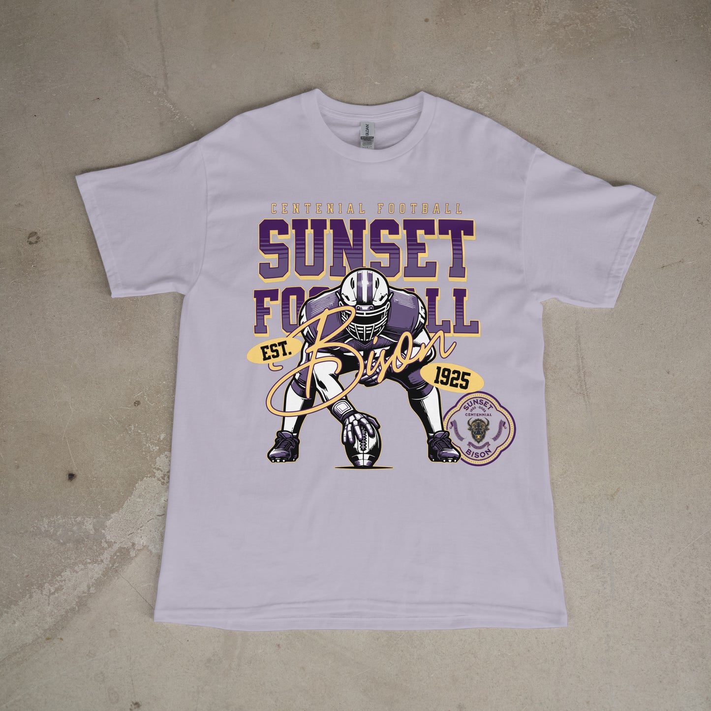 Gridiron Legacy: Sunset Bison