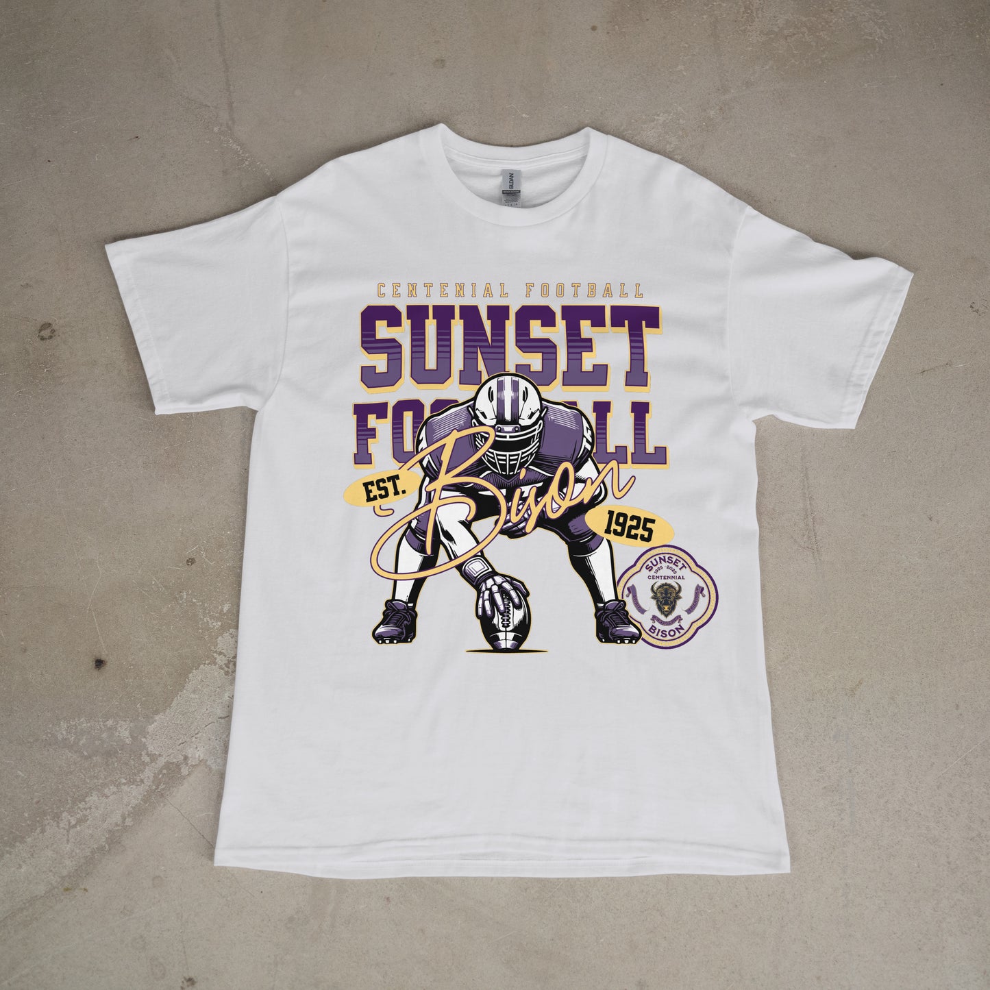 Gridiron Legacy: Sunset Bison