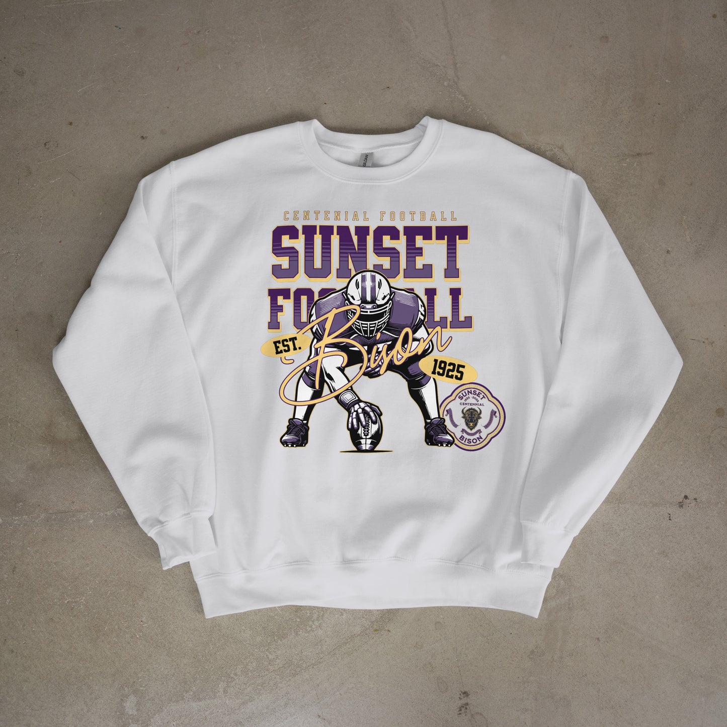Gridiron Legacy: Sunset Bison