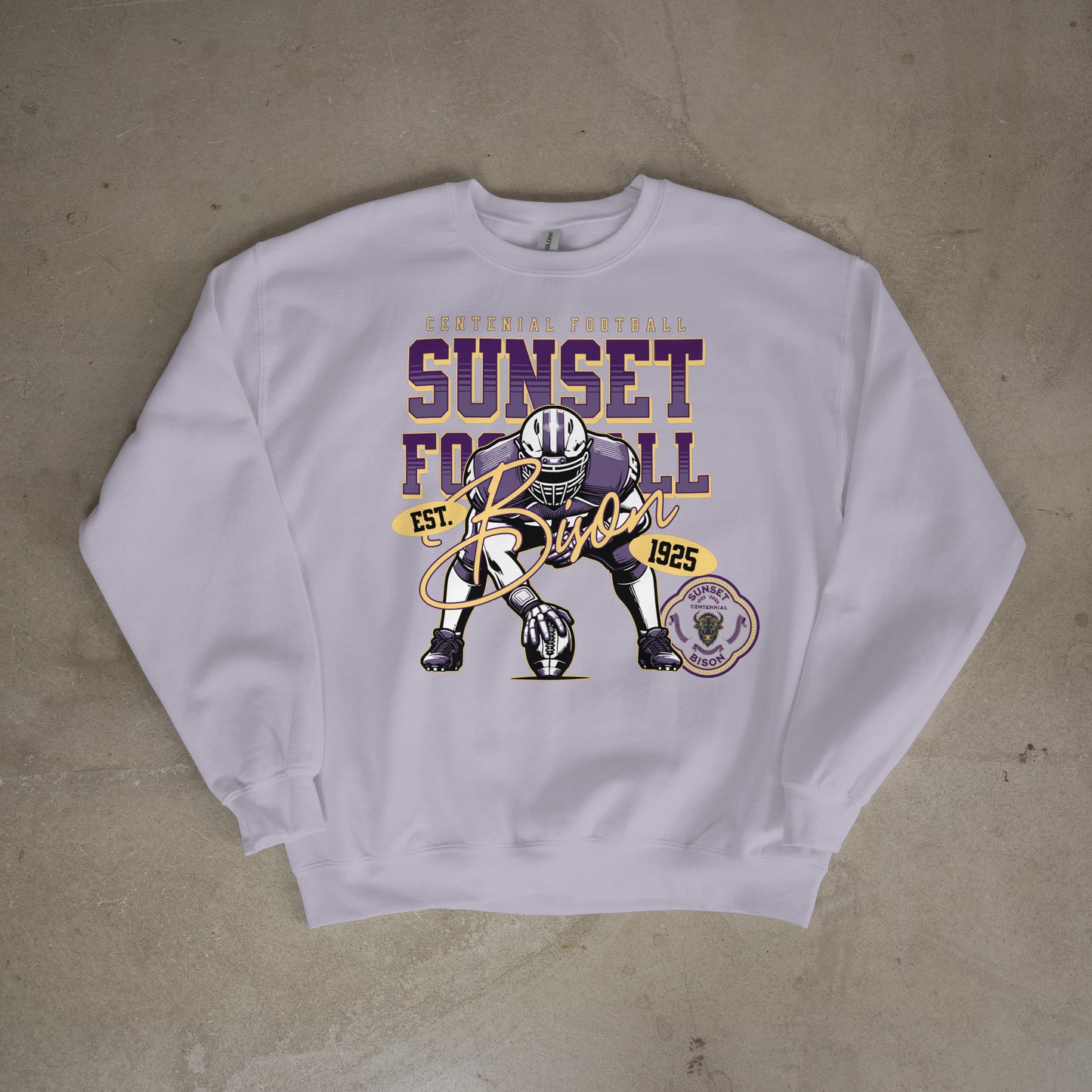 Gridiron Legacy: Sunset Bison