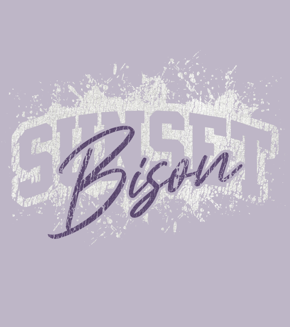 Sunset Bison Classic