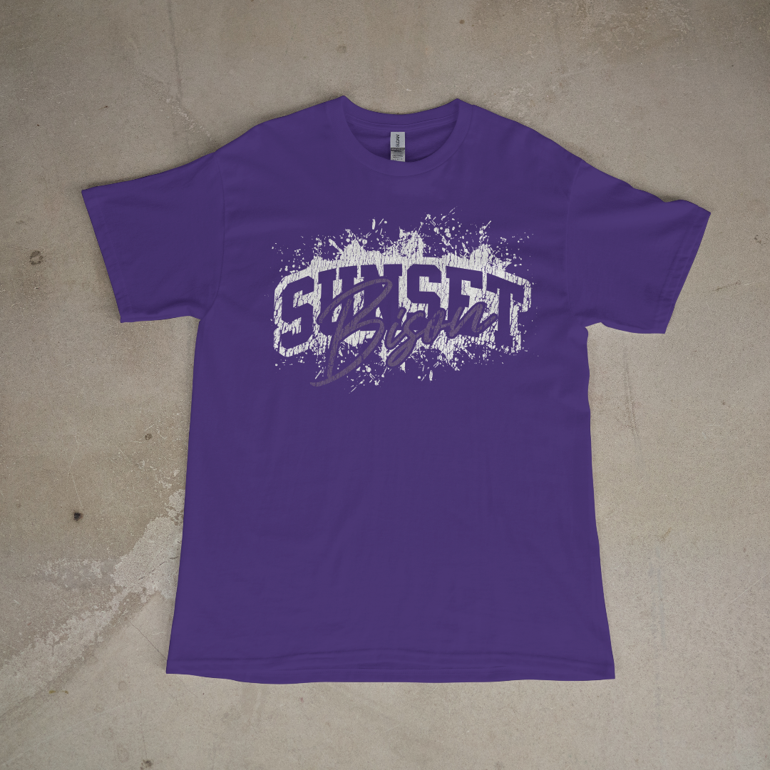 Sunset Bison Classic