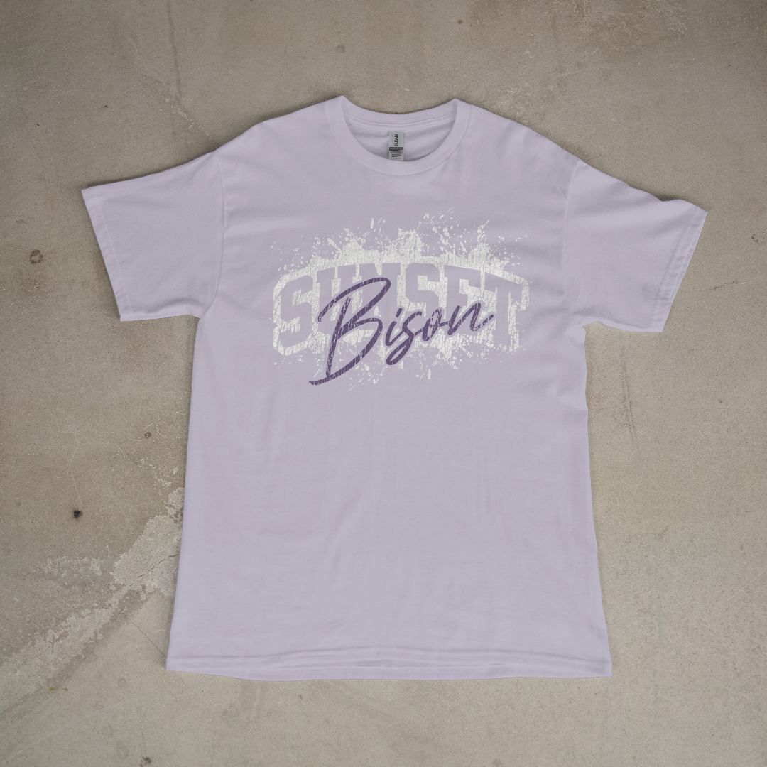 Sunset Bison Classic