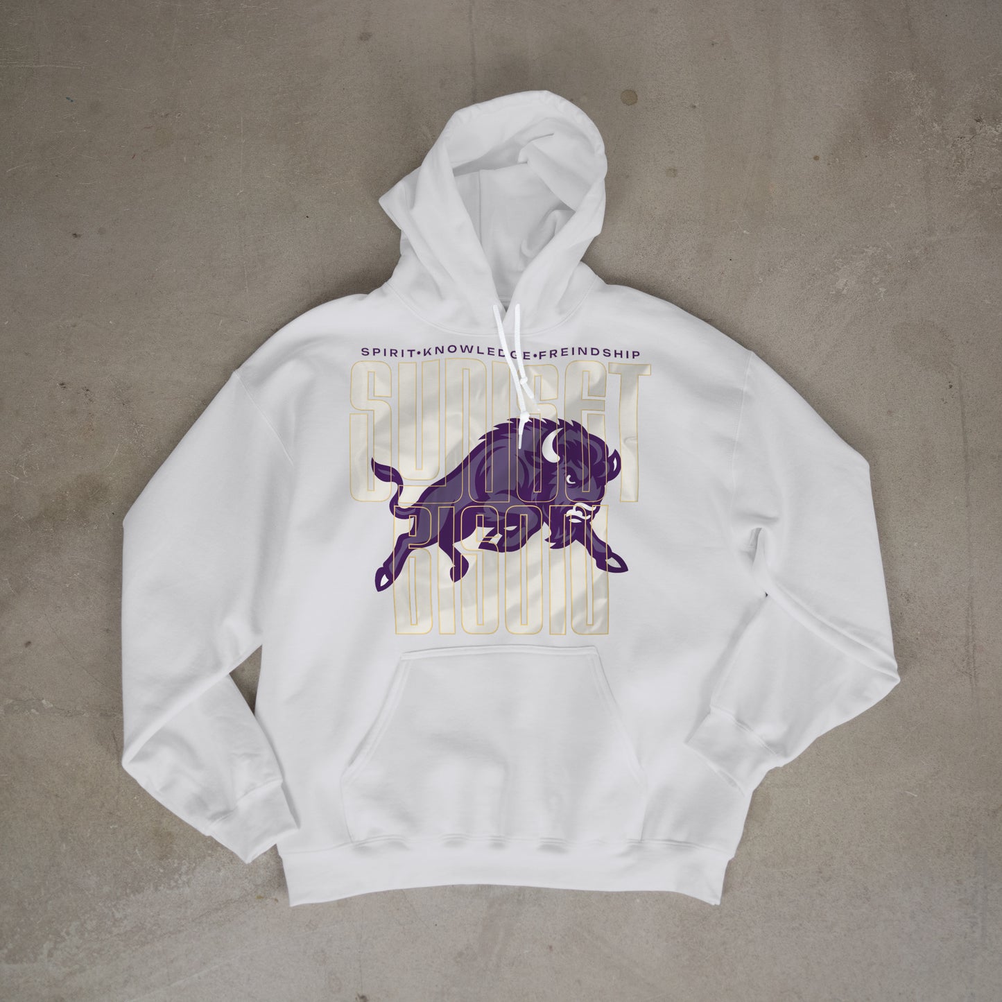 Bison Energy