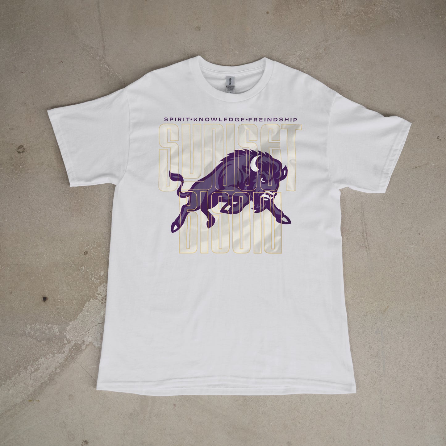 Bison Energy