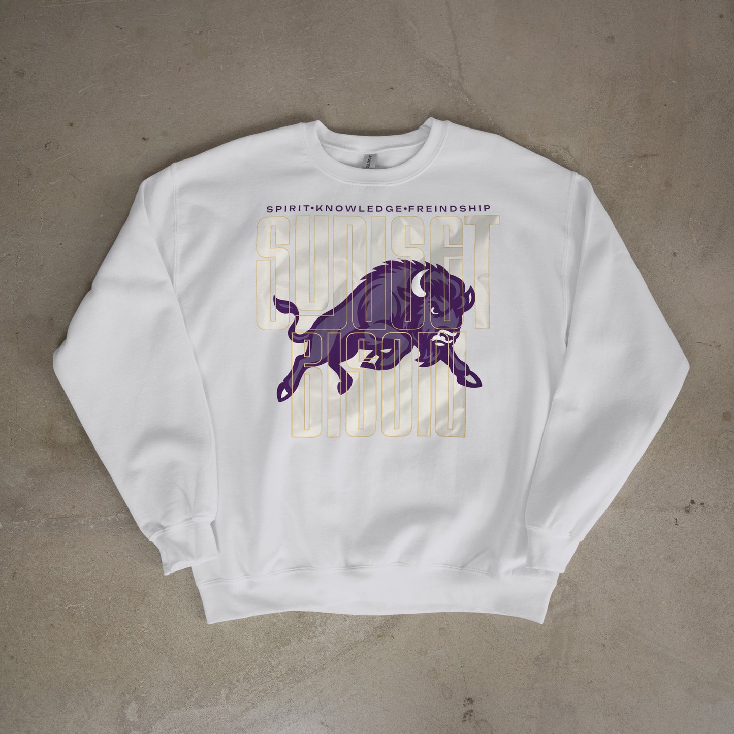 Bison Energy