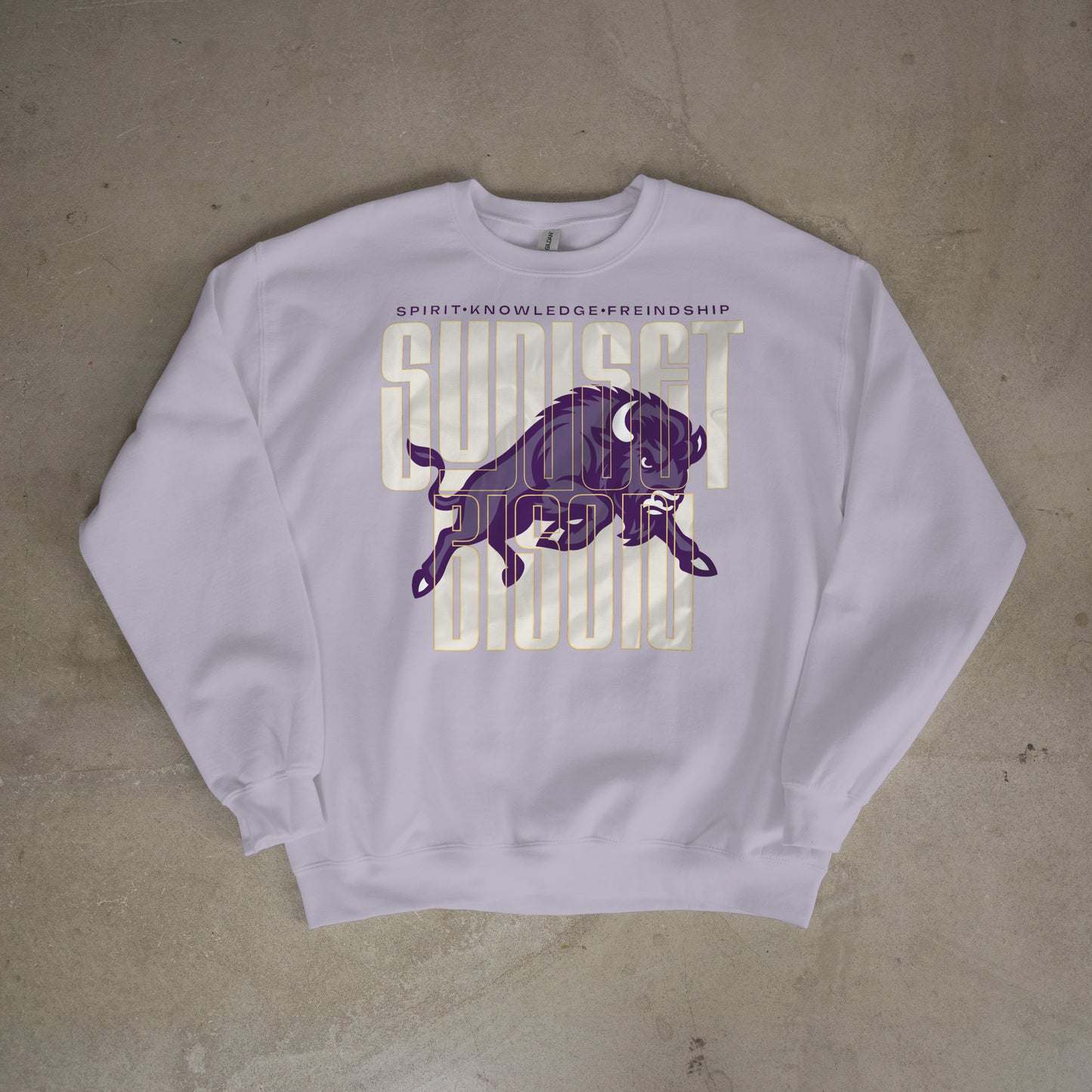Bison Energy