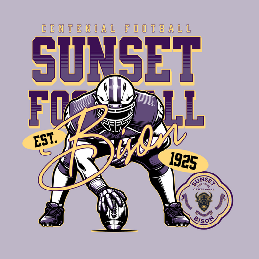 Gridiron Legacy: Sunset Bison