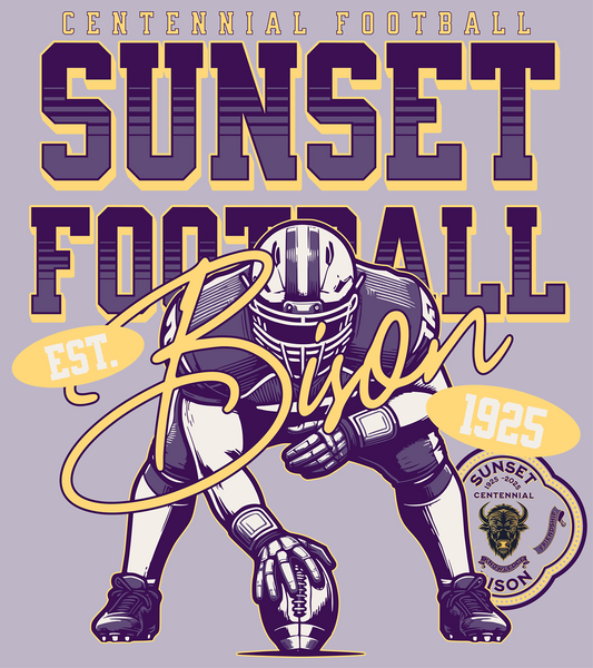 Gridiron Legacy: Sunset Bison