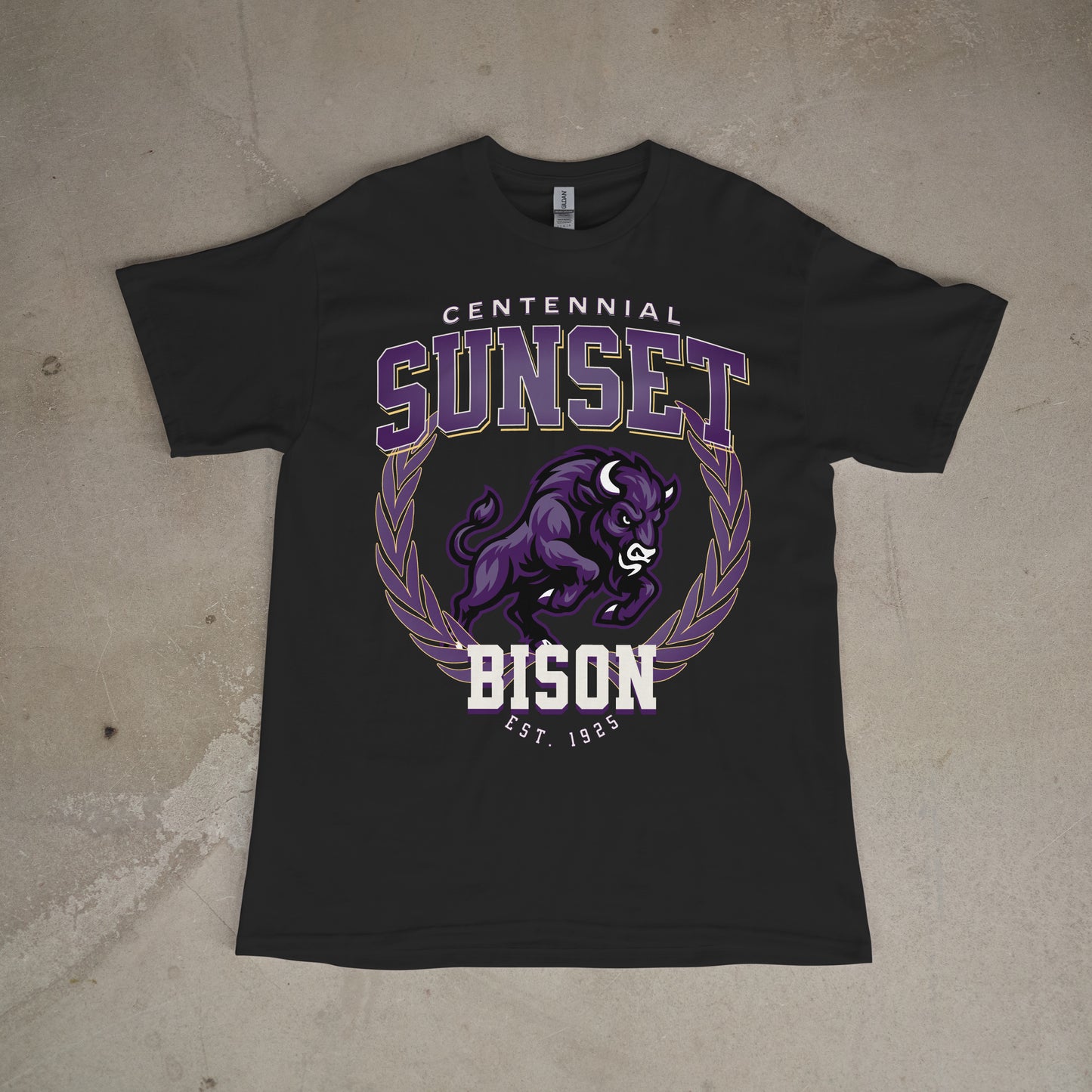 Centennial Bison Est. 1925