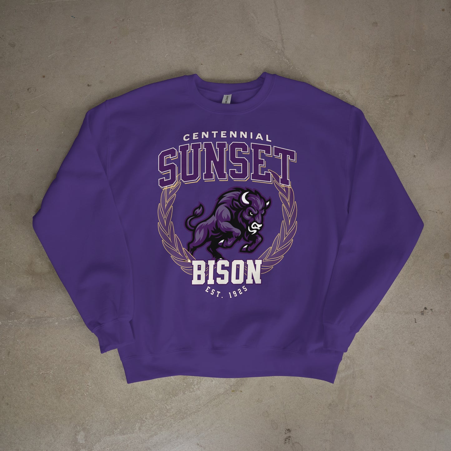 Centennial Bison Est. 1925